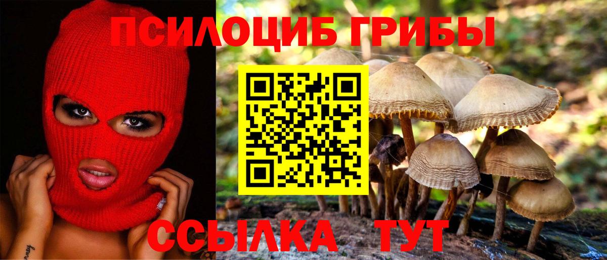 Славянск-на-Кубани  Галлюциногенные грибы Psilocybine cubensis  Вход с VPN 